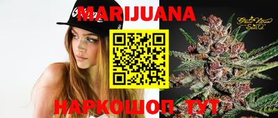 jwh Бийск