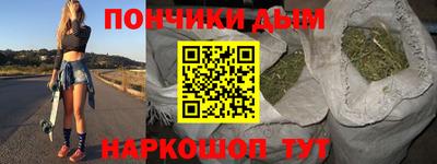jwh Бийск