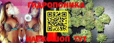 jwh Бийск