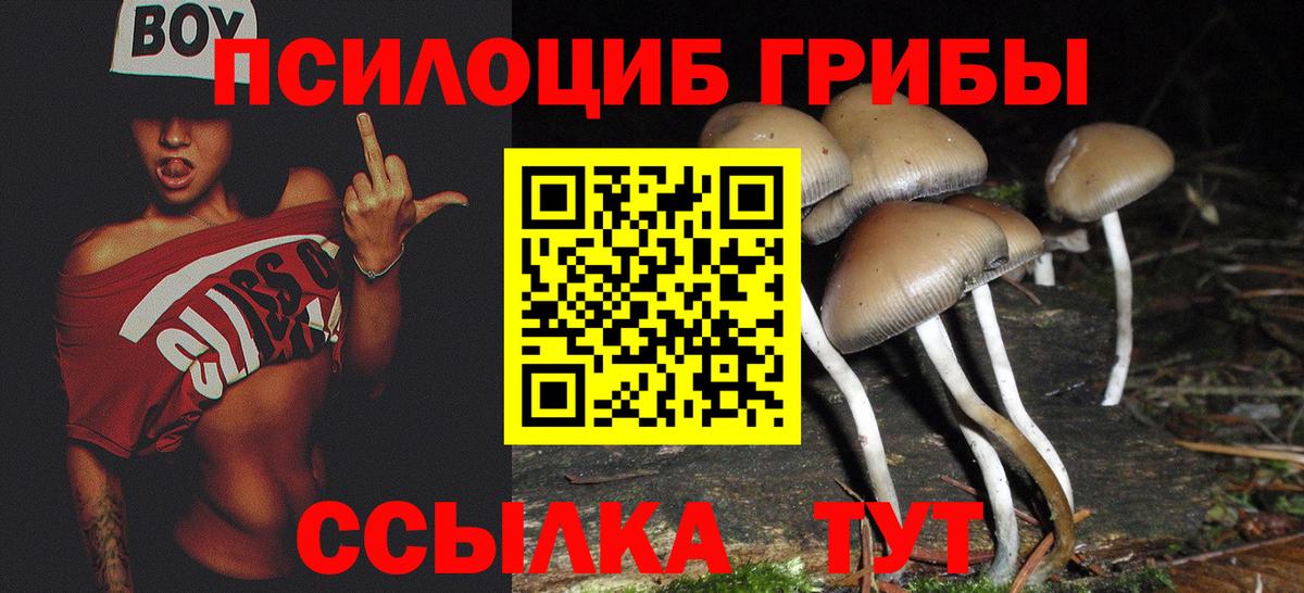 Псилоцибиновые грибы Psilocybe  Галлюциногенные грибы Magic Shrooms  Баксан  Вход с VPN 