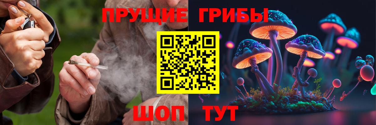 Галлюциногенные грибы Psilocybe Баксан